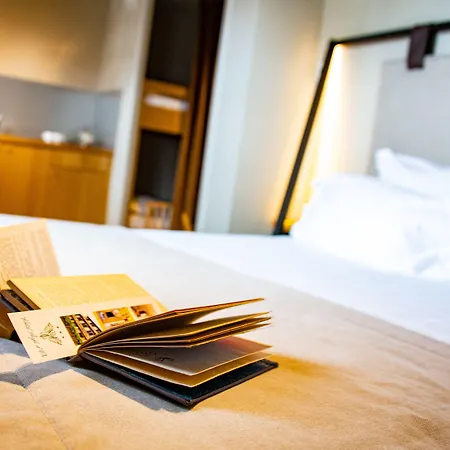 ホテル Aigle D'or - Strasbourg Nord Reichstett