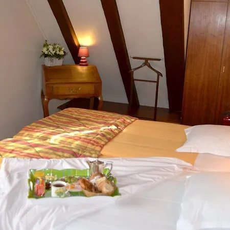 ホテル Aigle D'or - Strasbourg Nord 3*